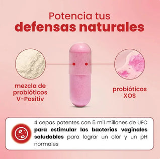 Uro Probiotico